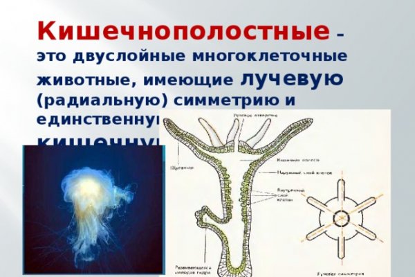 Сайт кракен войти