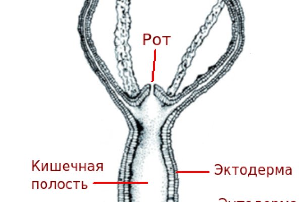 Сайт кракен kraken